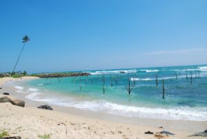 tomma-styltor-sri-lanka