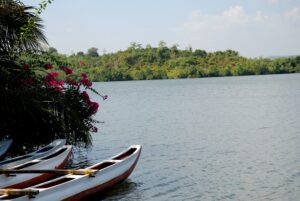 koggala-lake-sodra-kusten