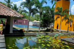 djungel-spa-sodra-kusten-sri-lanka