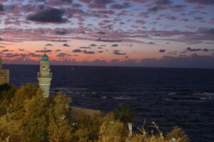 moske-jaffa